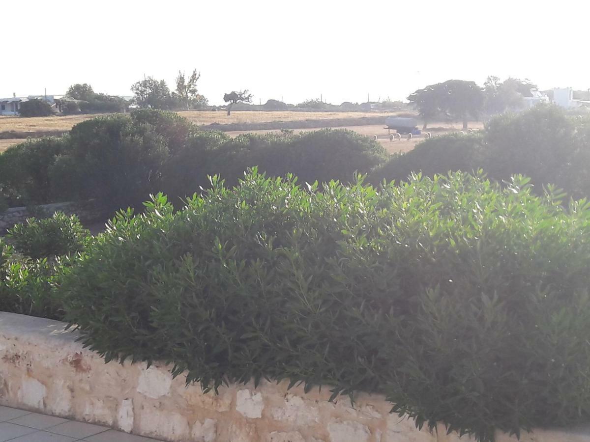 La Maison D'Helene เนาซา ภายนอก รูปภาพ